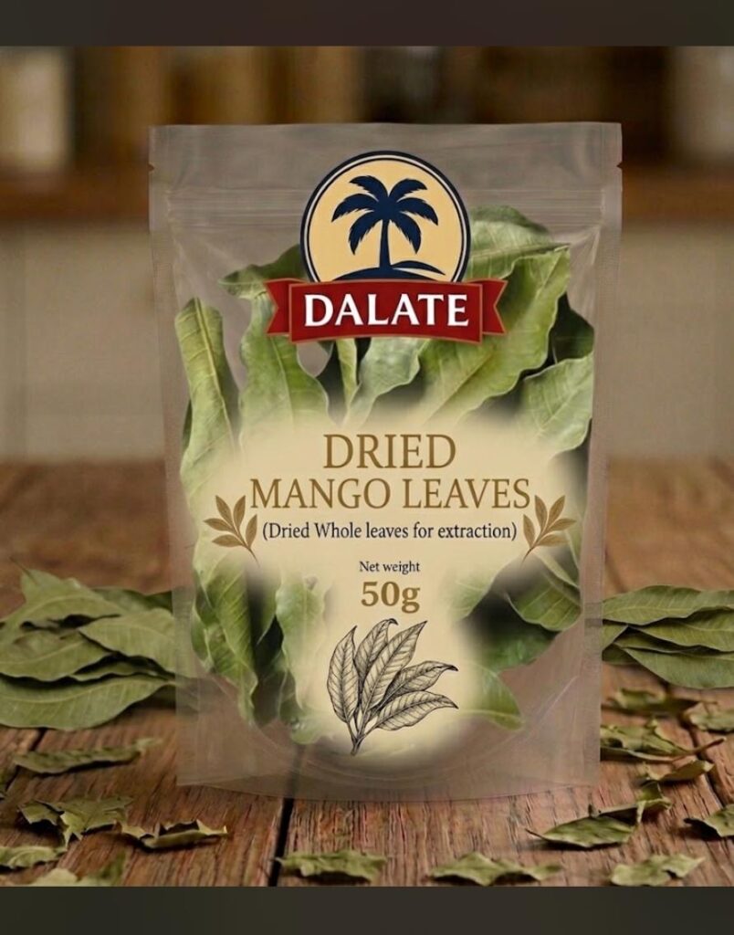 Dried Mango Leaves